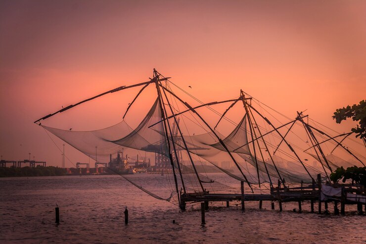 Kerala Tour from Kochi