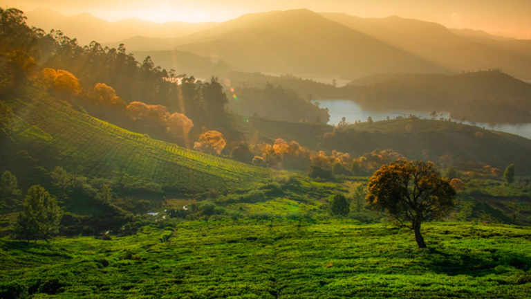 Ooty Trip