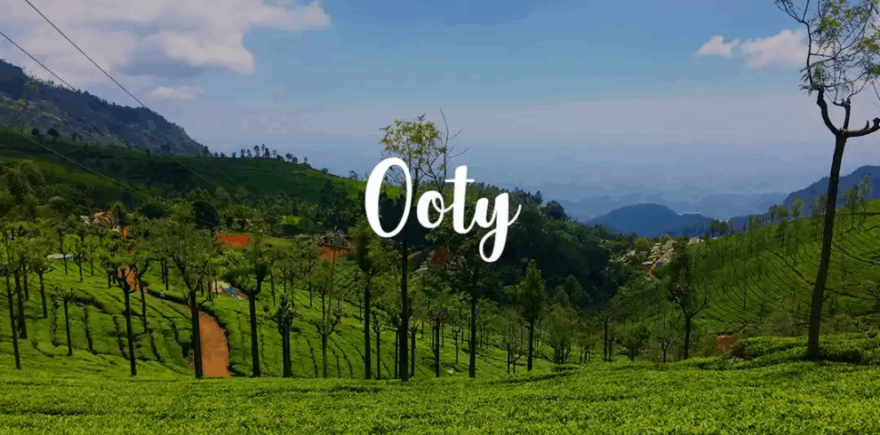 Ooty 5 Days Trip Plan