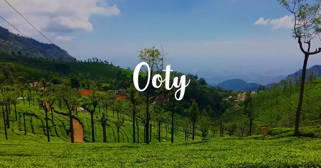 Ooty 5 Days Trip Plan