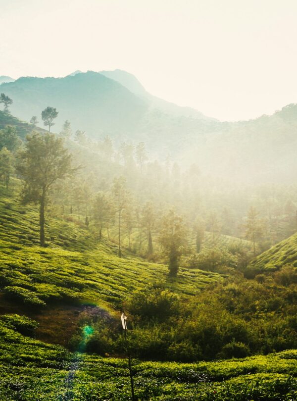 wayanad trip plan