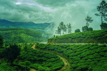 Kerala in July