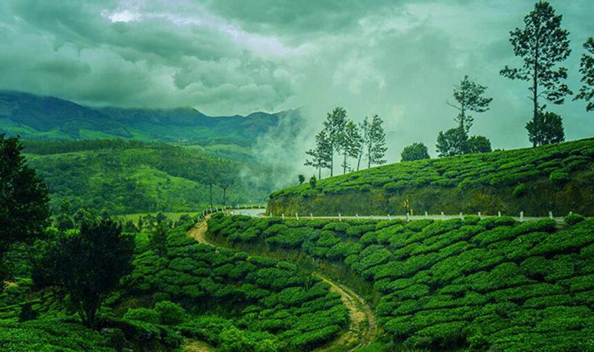 Kerala in July: A Monsoon Paradise You Can’t Miss