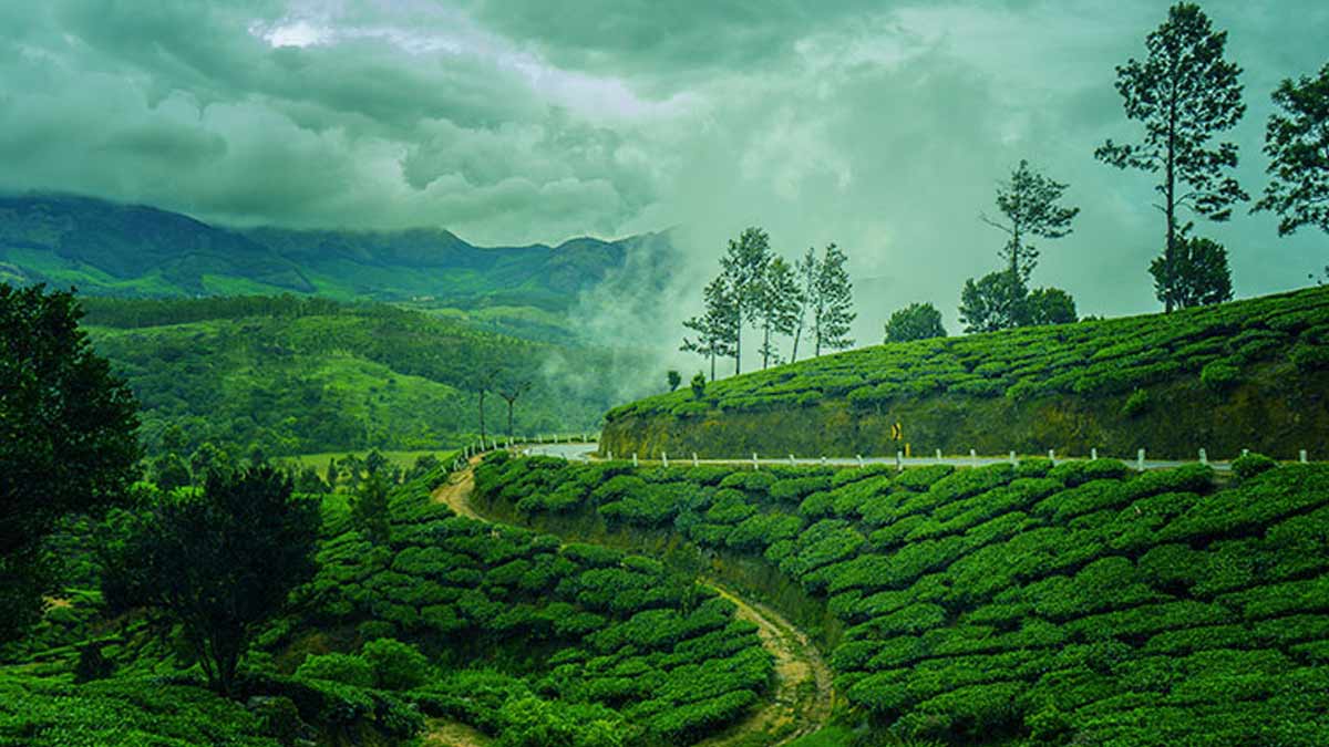 Kerala in July